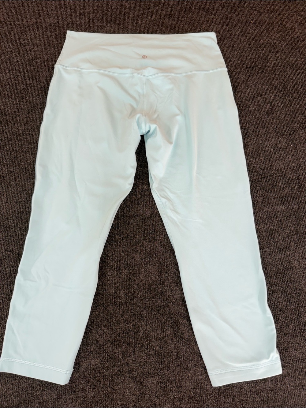 Lululemon Double lined Align Leggings